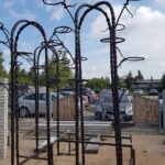 479543453 2691188631270616 6150893454195481770 n