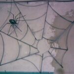 491800469 2752046468518165 7033659206334482410 n