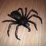 491802413 2752046525184826 1936964309933695253 n